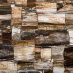 Legno Petrified Wood Countertop Surface Westbury