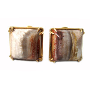 Ramo Earrings – Petrified Wood